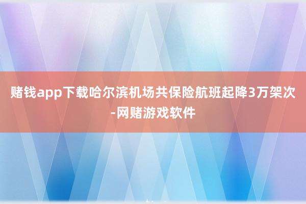 赌钱app下载哈尔滨机场共保险航班起降3万架次-网赌游戏软件