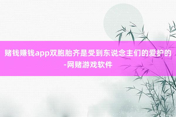 赌钱赚钱app双胞胎齐是受到东说念主们的爱护的-网赌游戏软件