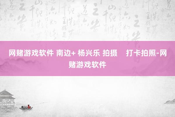 网赌游戏软件 南边+ 杨兴乐 拍摄    打卡拍照-网赌游戏软件