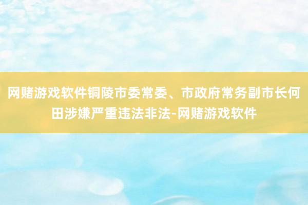 网赌游戏软件铜陵市委常委、市政府常务副市长何田涉嫌严重违法非法-网赌游戏软件