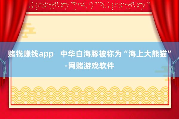 赌钱赚钱app   中华白海豚被称为“海上大熊猫”-网赌游戏软件